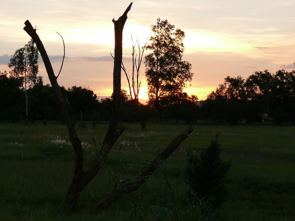 Votadini Country Cottages Magaliesburg Exteriér fotografie